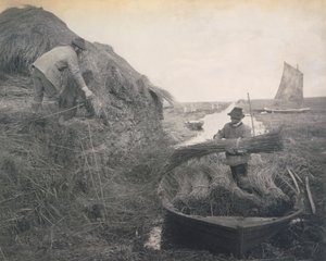 Række i røret, liv og landskab på Norfolk Broads, ca. 1886